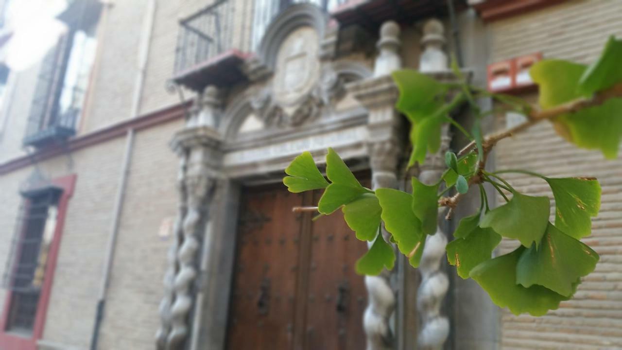 شقة Patio San Jeronimo Casa De Arte غرناطة المظهر الخارجي الصورة